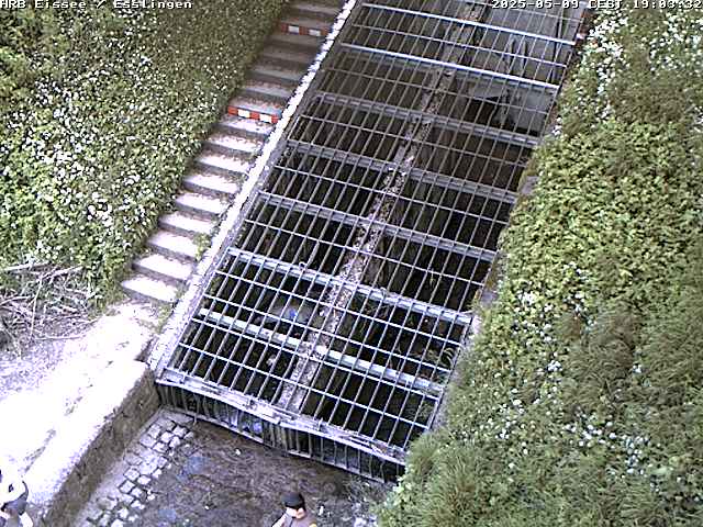Camera Live Image