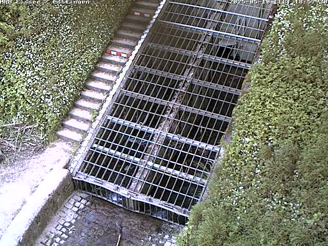 Camera Live Image